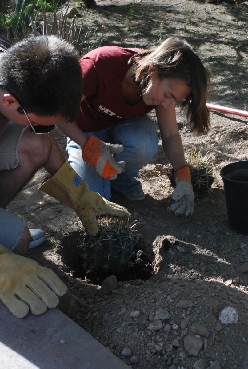 Seth and Amelia, CA Student Workers are relieved to realize planting cacti is so much easier than planting trees.