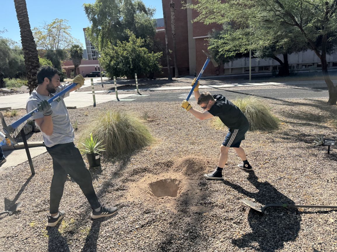 The last hole is dug 