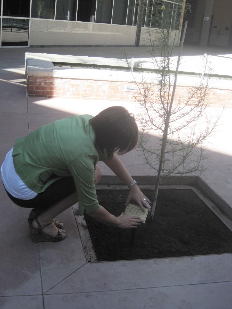 border-style: solid; padding: 5px; Dr. Quist places the plaque.