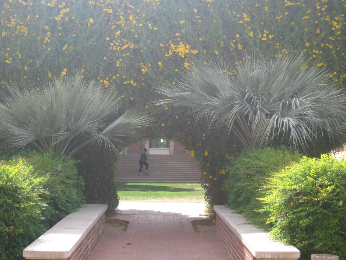  border-style: solid; padding: 5px; 