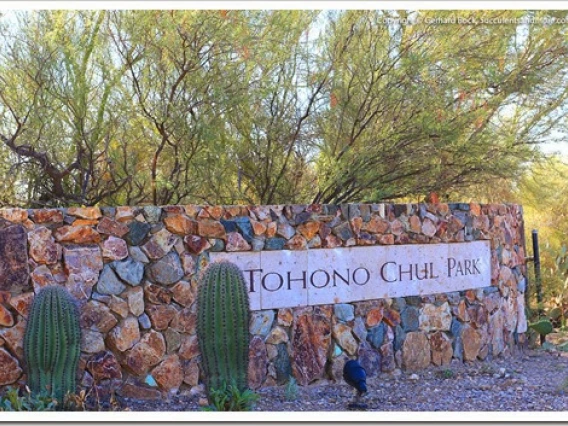 Tohono Chul sign