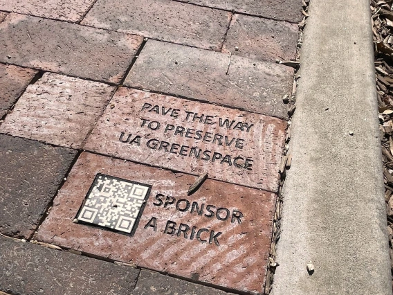 pond brick