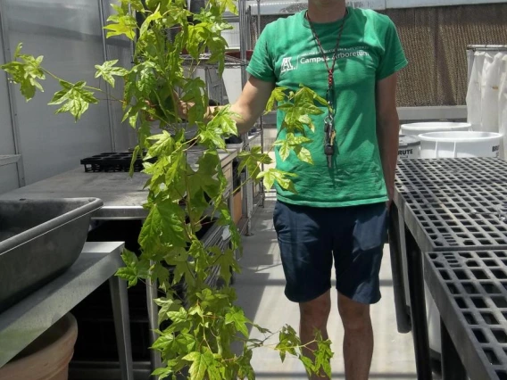 Brian GH with Moon Tree