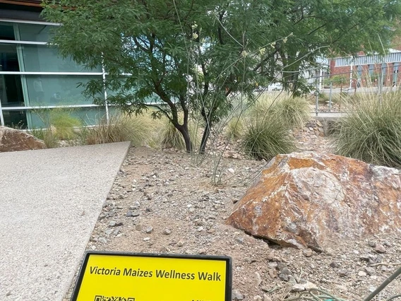 Wellness Walk