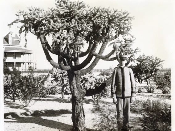 A young cadet in the Old Main cactus garden, circa 1890s.  All images courtesy Special Collections, the University of Arizona