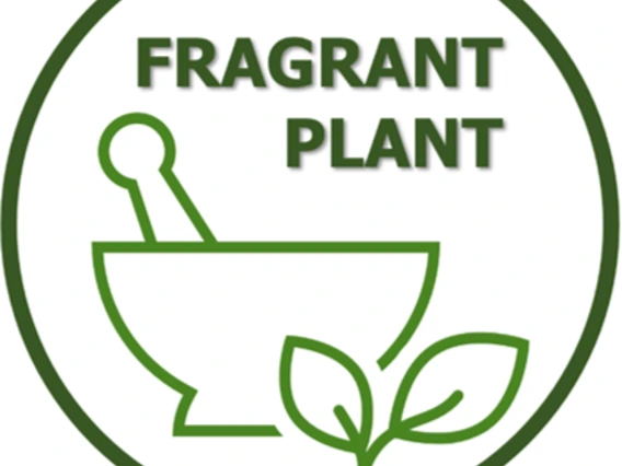 To find more useful plant species like these, look for this "Fragrant Plant" Icon when browsing the Arboretum's species pages. 