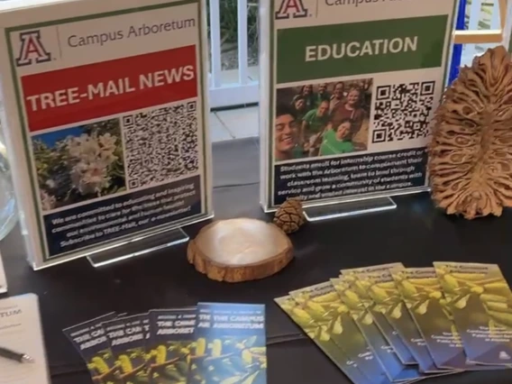 Homecoming Tree Mail and Education Info