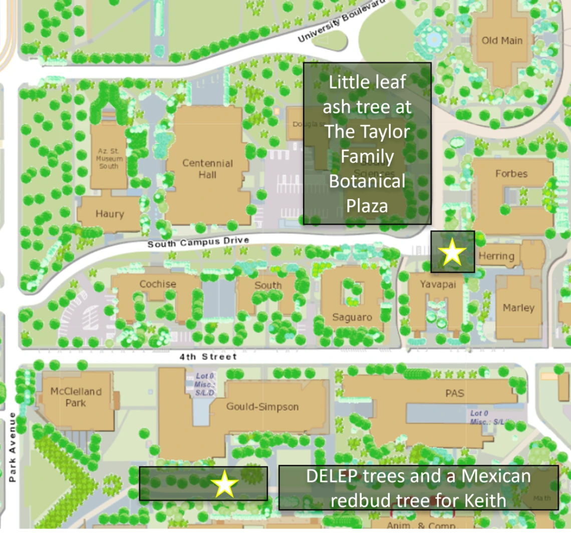 keith tree map