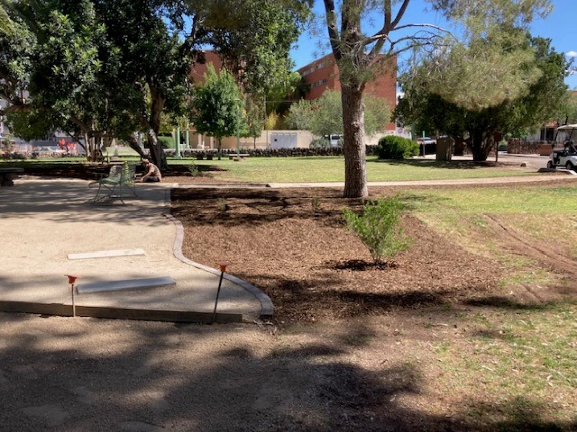 Work in progress on the pond by the UA Grounds Services Staff.