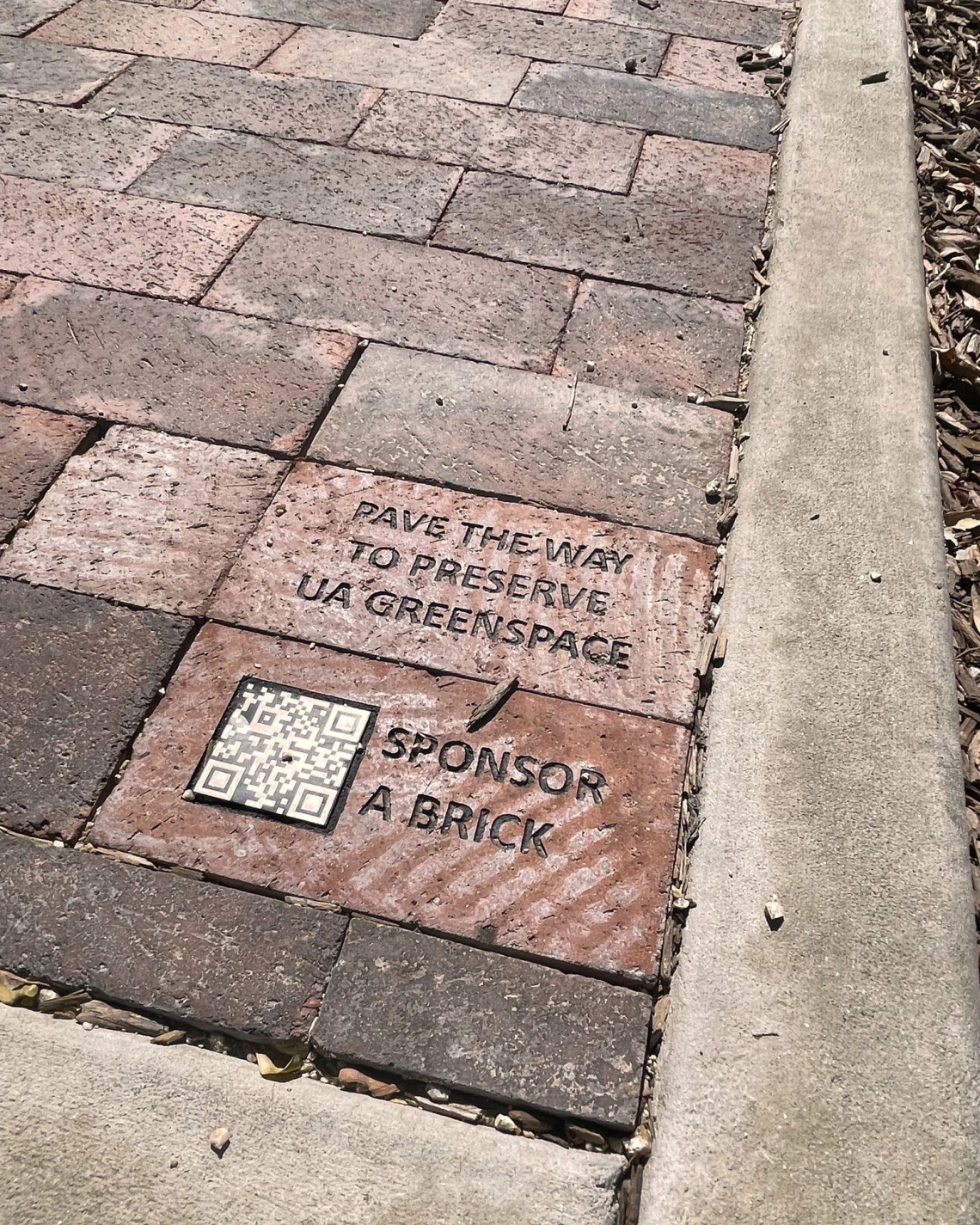 pond brick