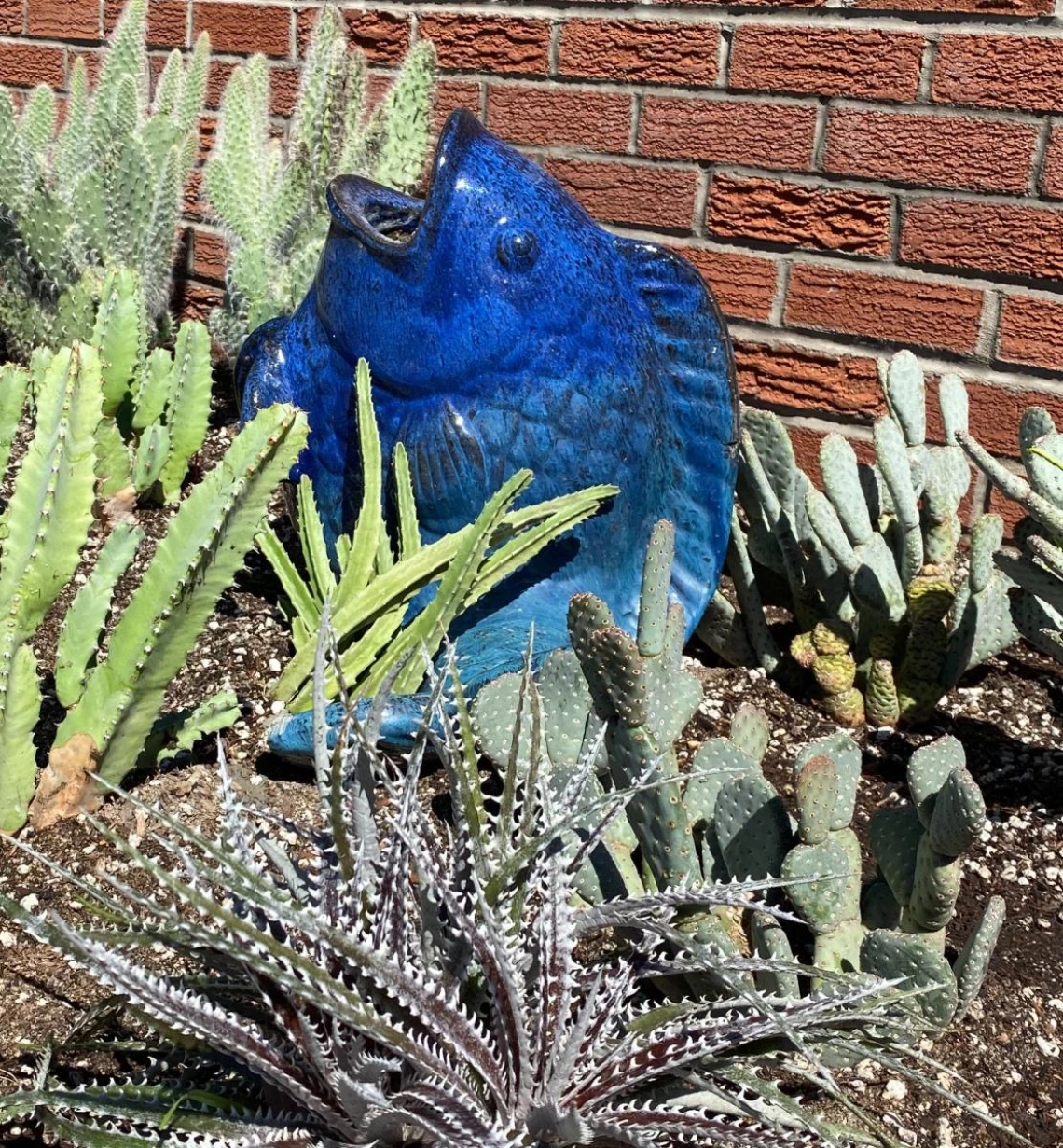 2021 Coral