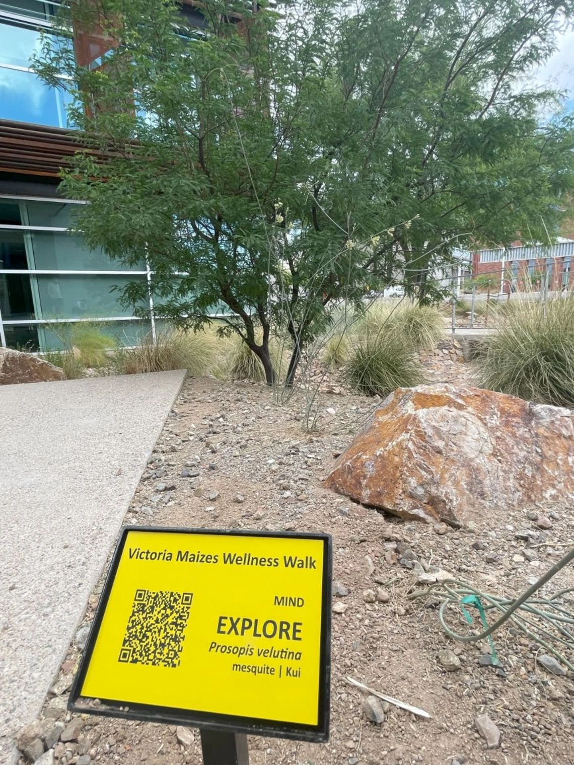 Wellness Walk