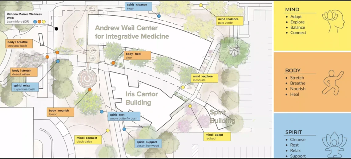 Wellness Walk Map