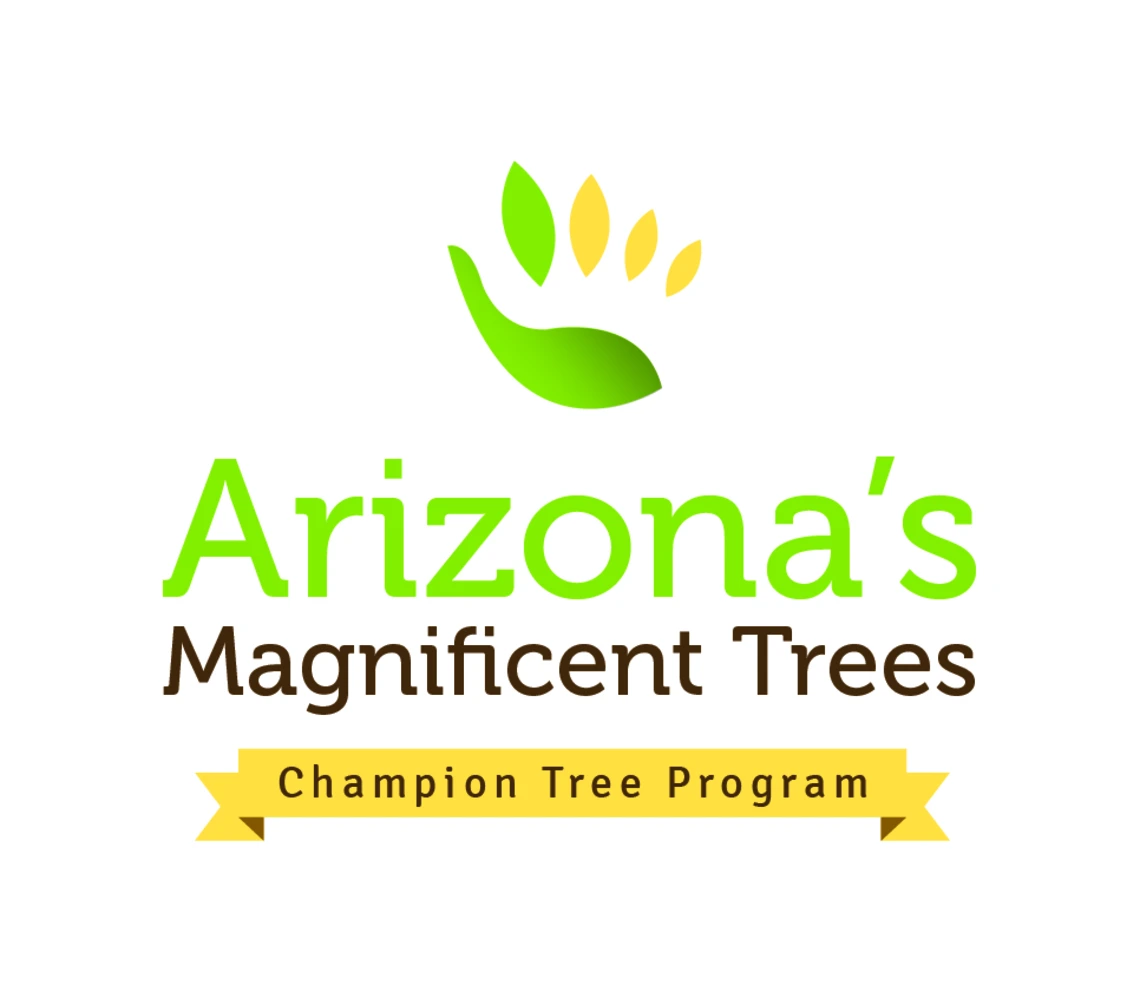 Magnificent Champion Logo