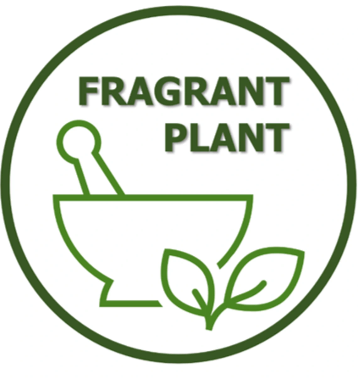To find more useful plant species like these, look for this "Fragrant Plant" Icon when browsing the Arboretum's species pages. 