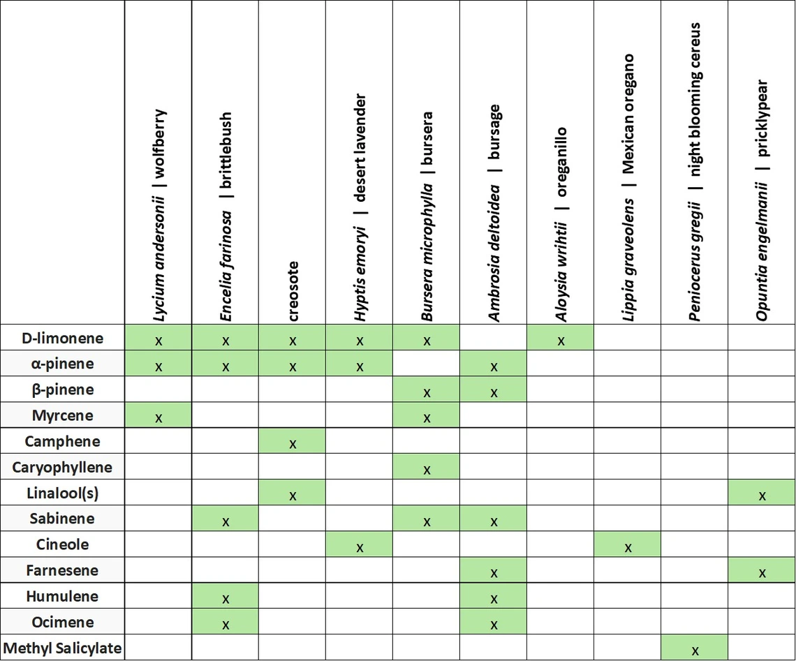 Sonoran native plants and the fragrant compounds they produce.