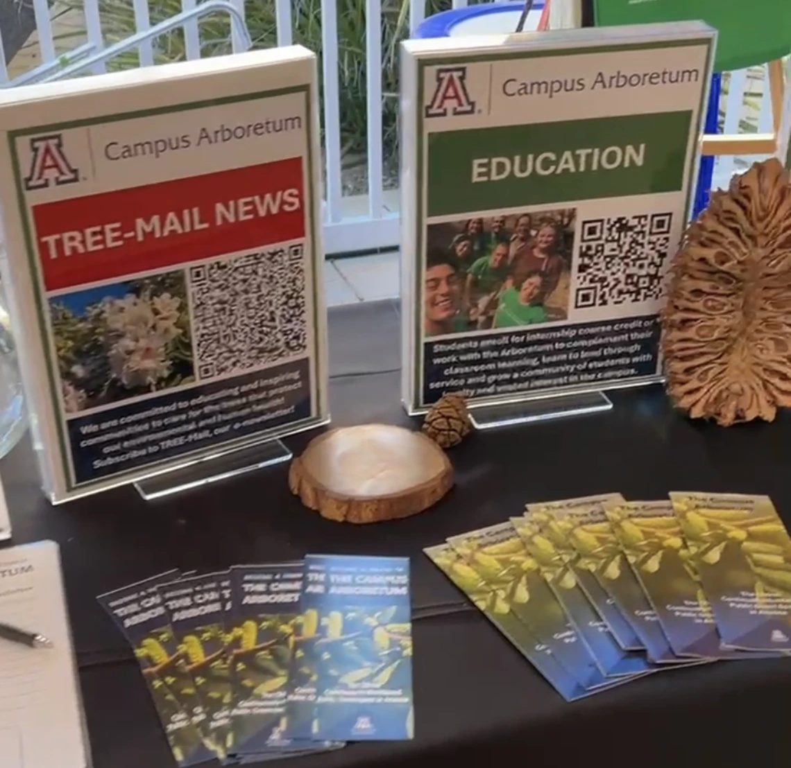 Homecoming Tree Mail and Education Info