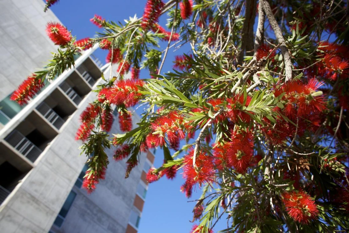 No description available