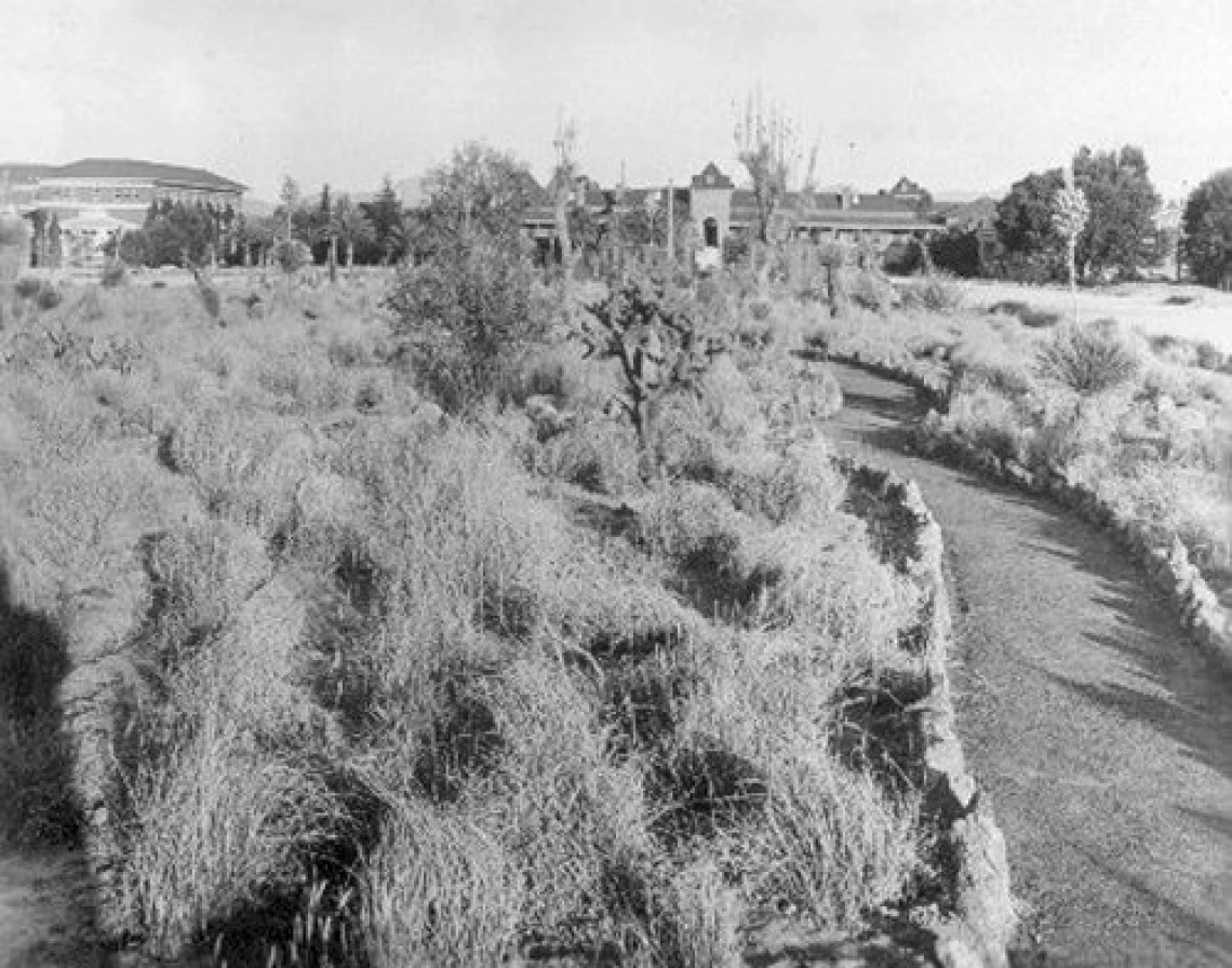 1932. The mall as a grassland.