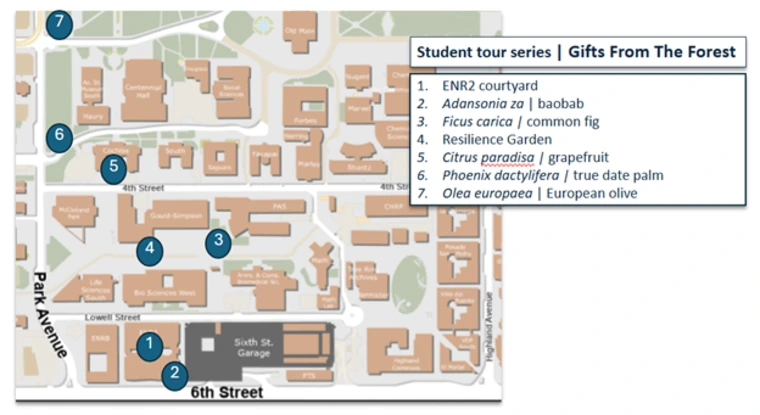Generositree Tour