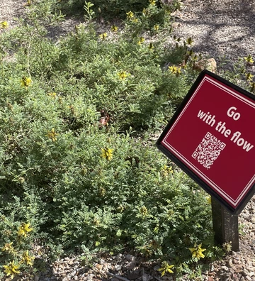 Resilience Garden