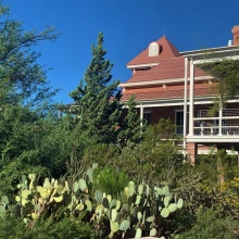 Plant diversity around Old Main