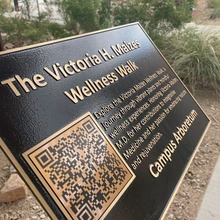 Wellness Walk