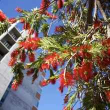 No description available