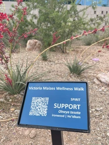 Wellness Walk